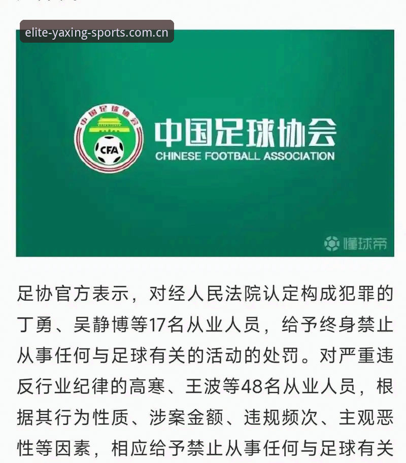 亚星体育T9K2下载攻略 中国足协第三批禁足名单深度评测:17人终身禁赛背后的足球生态反思